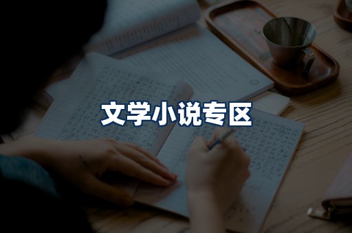 文学小说PDF展示